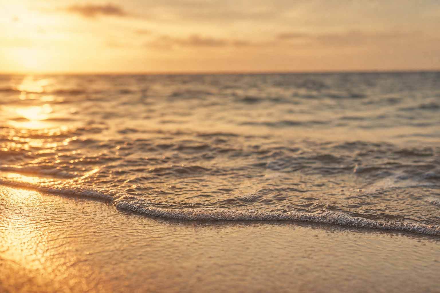 Sea II